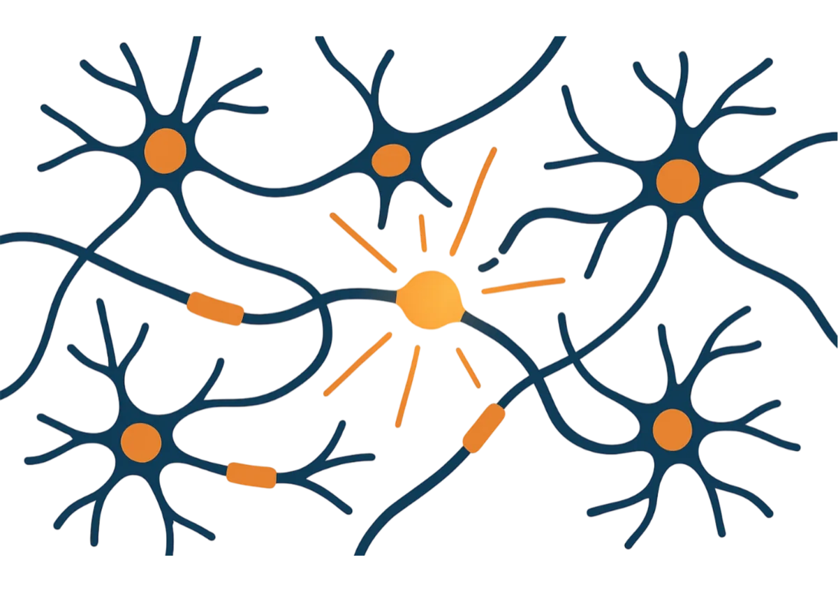 Illustrazione del sistema nervoso per la sclerosi multipla